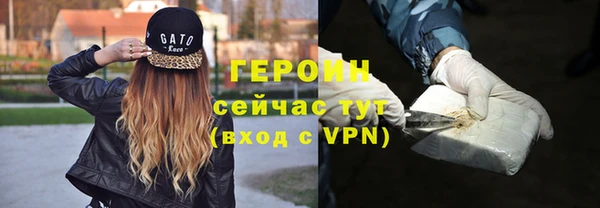 гидра Няндома