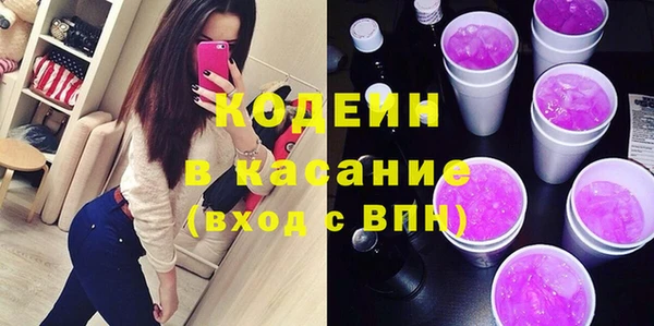 гидра Няндома