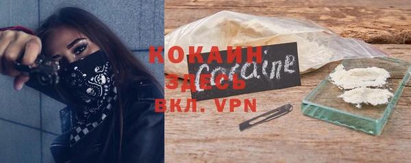 шишки Корсаков
