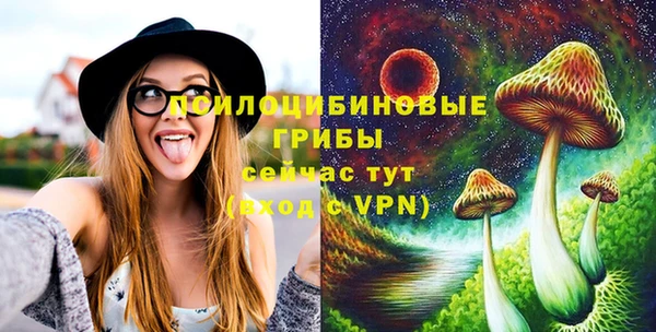 mix Осинники